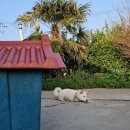 신비로-8 | #13 [제주살이_3일차] 느리지도, 빠르지도 않게