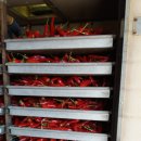 동천농장 이미지