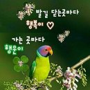 동안치매안심센터 이미지