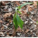 두루미 농원 이미지