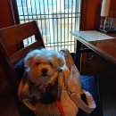 주막식당 이미지