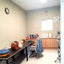 도그파파 동물병원 이미지