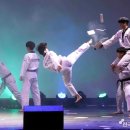 월드베스트태권도 이미지