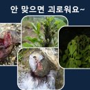 씨드림 이미지