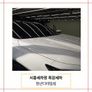 청년손세차