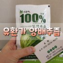 가양건강원 | 양배추 효능/위에 좋은 음식 유환가 양배추즙 좋아!