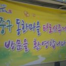 타로 심리상당 이미지