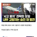 보잉 내부 고발자 사망사건 최신 근황 이미지