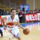 금정의 메아리 이미지