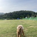 세이지힐 패밀리 캠핑장 이미지