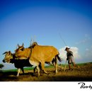 센트럴병원 이미지