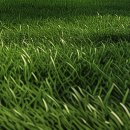 부림동-1 이미지