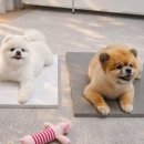 다른스톤