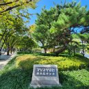 경상감영공원 | 대구 여행, 조선 시대 경상감영이 있던 곳, &#34;경상감영공원&#34;