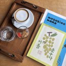 평화컴퓨터세탁 | 당근밭 세화 여행기