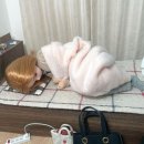 여름을 한 입 베어 물었더니