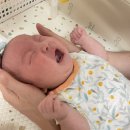 방이코끼리약국 이미지