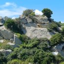 공룡의숨결 이미지