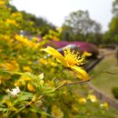 경기도자박물관 이미지