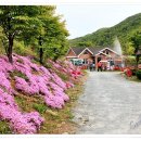 산골통상