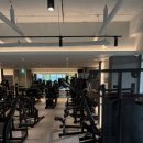 로마짐 합정 이미지