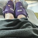 (주)다담미트