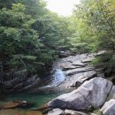 곡성-148 Daum카페