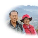 최창순 농장 이미지