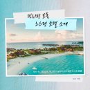 맹그로브 짐 | 보홀 여행 | 노스젠빌라 호텔 숙소 추천 | 맹그로브 숲 인생샷