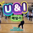 디앤디댄스