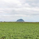 형제해안로 이미지