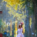 도리마을 숲 이미지