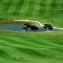 여주-0004 이미지