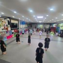 한국체대 올림픽 태권도장 이미지