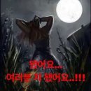 찬리 모텔 | 無常