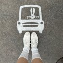 3999 | 상하이 여행 3일차｜디즈니랜드에서 하루종일 후기!