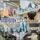 [경기/안산] 에이바헤어 안산초지점｜인기 안산미용실...받고 머릿결 회복된 찐 후기✨ 손상모 관리 대만족!