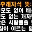 호로자식 유래 뜻 이미지