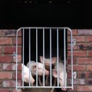 문종농장 이미지