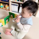 토탈시스템 | 프뢰벨토탈시스템 영아다중 초반 후기