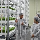 노력농장 이미지