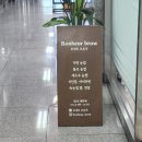 보네르 브로우