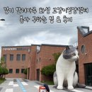 수원시동물보호센터정문 | 화성] <반려마루 화성 고양이 입양센터> 자원봉사 신청방법과 후기 / 이 세상 모든 고양이가 행복했으면...