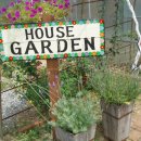 허브와풍뎅이 이미지