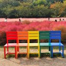 영희의 정원 이미지