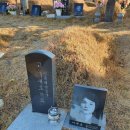 서울대 아고라 이미지