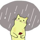 벨다