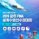 세계 수영인의 축제 2019광주세계수영선수권대회 개막 이미지