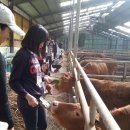 정다운농장 이미지