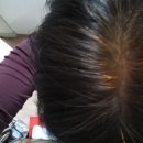 헤나가루염모제 남은것 7봉지 이미지